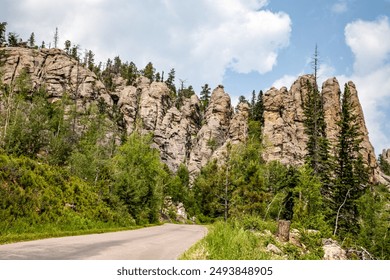 The forest trees and cliffs on Needles Highway in Custer State Park, Black Hills, South Dakota