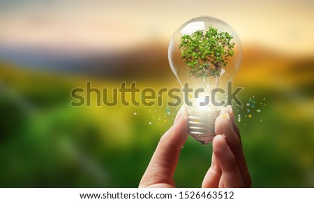 The forest and the trees are in the light. Concepts of environmental conservation and global warming plant growing inside lamp bulb over dry soil in saving earth concept