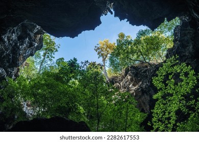 Forest trees in the middle of the valley, view from inside the cave. - Shutterstock ID 2282617553