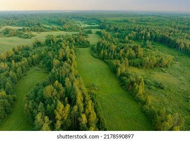 Forest With Trees, View From The Top. Green Trees In The Forest With Green Grass And Green Field, Aerial View. Wildlife In Green Background, Drone View. Forest Background. Ecosystem, Environment, Co2.