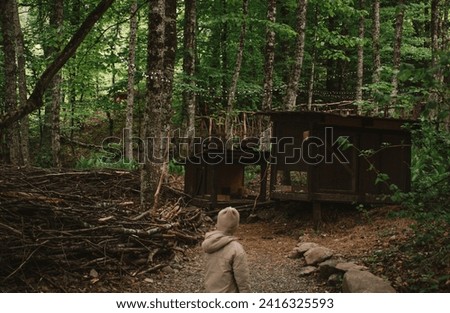 forest, trees, wooden huts, stones, branches, green bushes, path, a child will rub off on the forest