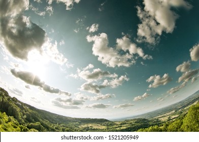 A Forest Under A Cloudy Sky Seen With A Fish Eye Lens