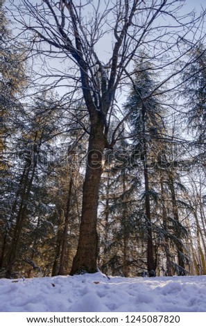 Similar – Image, Stock Photo Wind power at Roßkopf 8