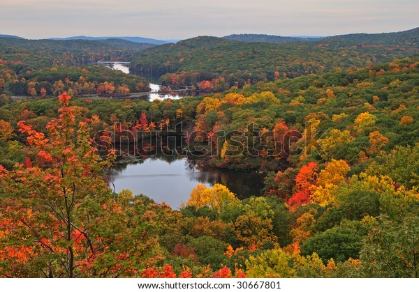 Forest Upstate New York Hdr Image Stock Photo (Edit Now) 30667801