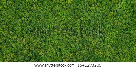 forest view from above, aerial top view with copy space design for web banner