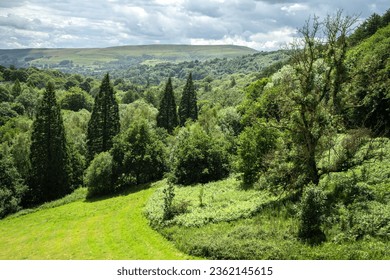 Forest and view to hillside near Ladybower Reservour, Upper Dewent Valley, Peak District, Derbyshire, England. - Powered by Shutterstock