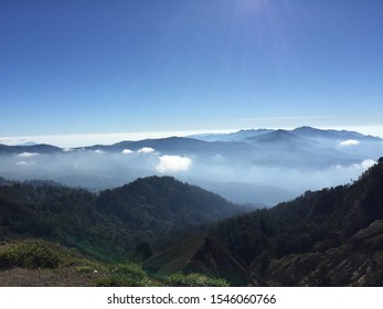 Forest View From Mount Kelimutu