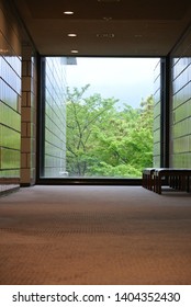 Forest view outside the window