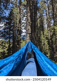Forest views from a hammock hanging between trees. Blue hammock, feet with black socks.