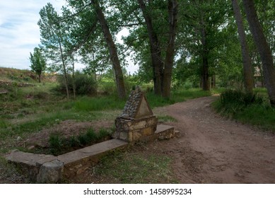 Forest In The Village Of Valvona De Teruel, Spain