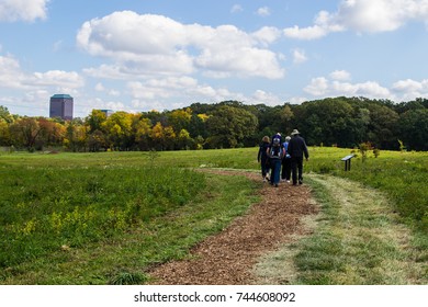 Forest walk