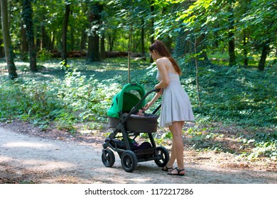 Back View Attractive Women Walking Stroller Stock Photo 1168259029 ...