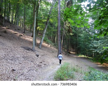 forest walking