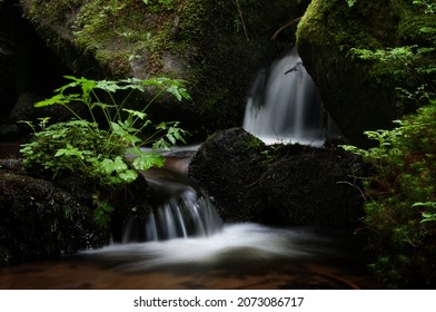 Forest waterfall between stones and ferns