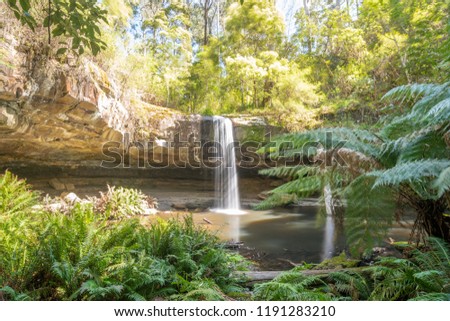 Forest Waterfall Cave Ferns Trees Pool Stock Photo Edit Now