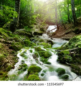 Forest Waterfall And Rocks Covered With Moss