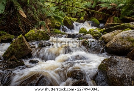 Forest waterfall stream. Waterfall stream on mossy rocks. Forest river waterfall flowing. Waterfall stream flowing