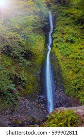 forest waterfall at sunset
