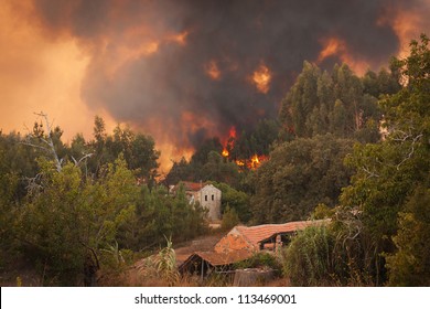 Forest Wild Fire Near Houses On Portugal Summer