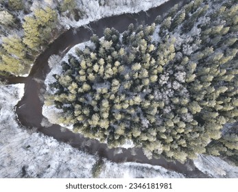forest wild river in winter