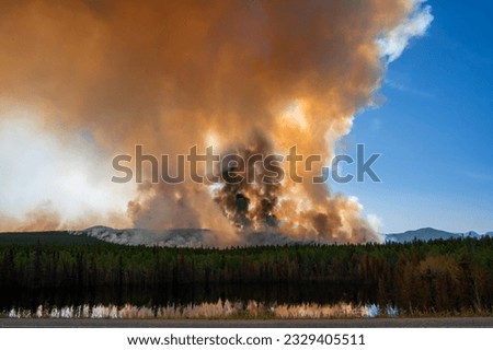 A forest wildfire has occurred in Yukon Territory, Canada, generating smoke that fills the sky and even obscures the sunshine.