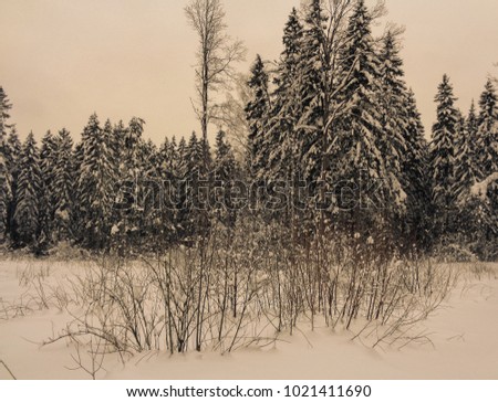 Similar – Peace. Winter Snow Field