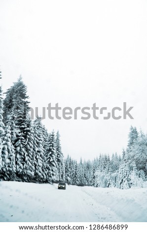 Similar – Image, Stock Photo Winter Forest on Speed