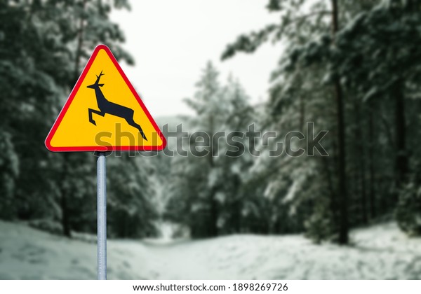 Forest\
winter road. Deer road sign. Wild animals crossing the road. Icy\
road danger. Safety triangle sign\
background.