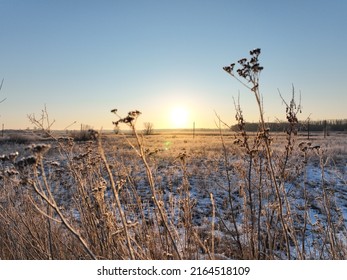 Forest Winter Sun Rise Field Grass