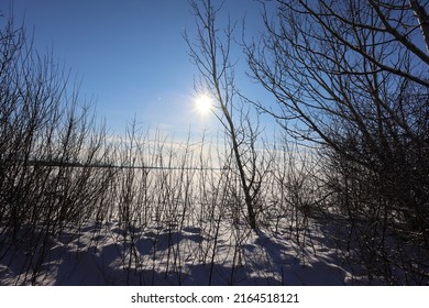 Forest Winter Sun Rise Field Grass