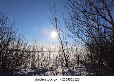 Forest Winter Sun Rise Field Grass