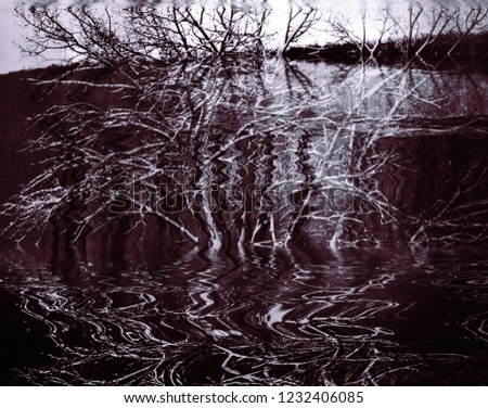 Similar – Image, Stock Photo Inside and outside Drape