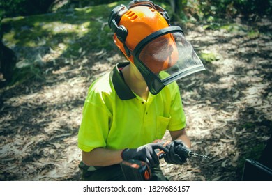 Forest Woman Using Drill In Forest