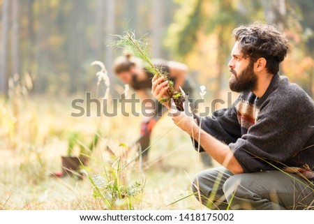 Forest worker controls the quality of pine seedling for afforestation