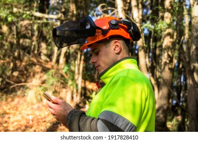 forest worker or lumberjack using mobile phone in forest