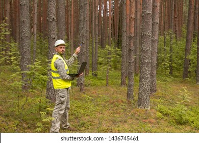 A forest worker works in the woods with a computer. The forester in a white helmet and yellow vest. - Powered by Shutterstock