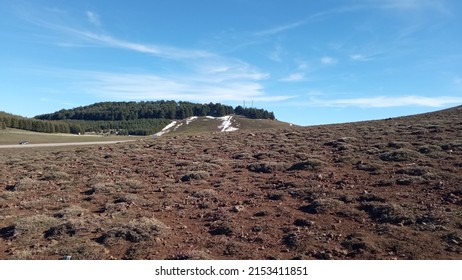 The Forest In Zagora Sahara Maroc