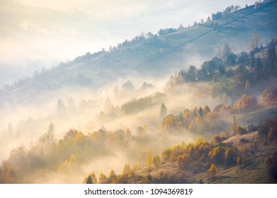 forested hills in rising autumn fog. amazing scenery in Carpathian mountains. beautiful nature background - Shutterstock ID 1094369819