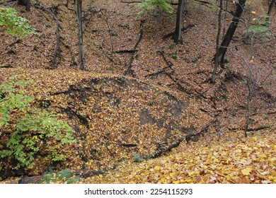 In a forested, leaf-covered area, the confluence of 2 small streams has resulted in a sharp point of land, which has suffered a recent landslide and bears a visible scarp scar.    - Shutterstock ID 2254115293