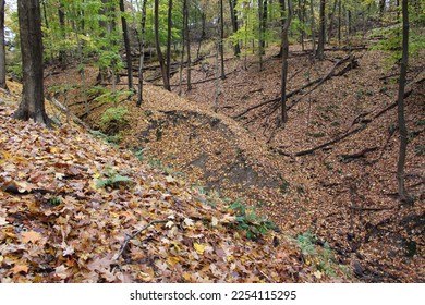 In a forested, leaf-covered area, the confluence of 2 small streams has resulted in a sharp point of land, which has suffered a recent landslide and bears a visible scarp scar.    - Shutterstock ID 2254115295