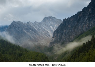 Forested mountain low lying cloud with the evergreen conifers shrouded in mist in a scenic landscape view