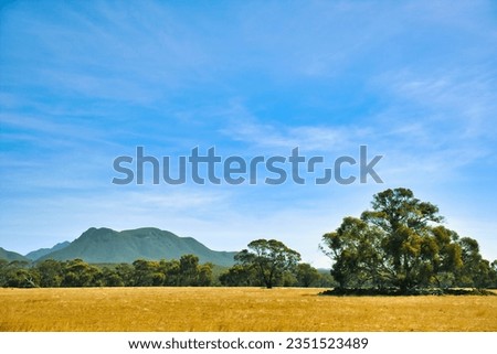 Forested mountains rising up from flat agricultural land with scattered trees. Mount Trio, Stirling Range National Park, Western Australia.
