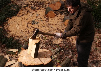 Forester Chopping Wood With An Axe