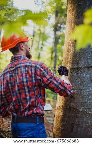 Forester examines the trees in the forest using a tablet pc