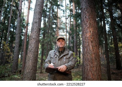 forester man conducts monitoring in pine national park. environmental Protection. forest industry.