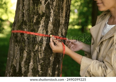 Forester measuring tree trunk with tape in forest, closeup