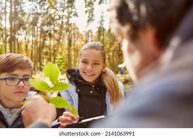 Forester Shows Children Leaves For Tree Identification In The Forest As A Natural History Lesson