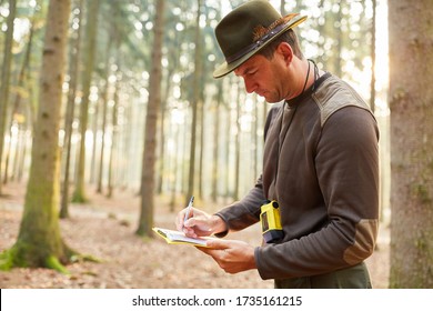 Foresters or foresters with checklist at the inventory in the forest or forest