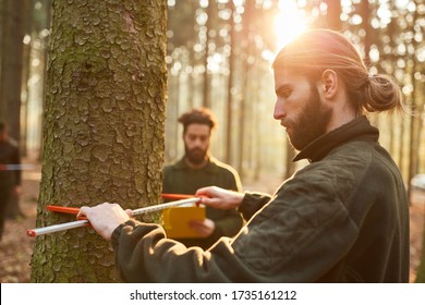 Foresters in determining trunk diameter of a tree in the forest