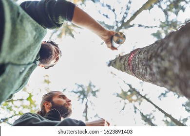 Foresters mark tree trunk with red color for the wood harvest in the forest district
